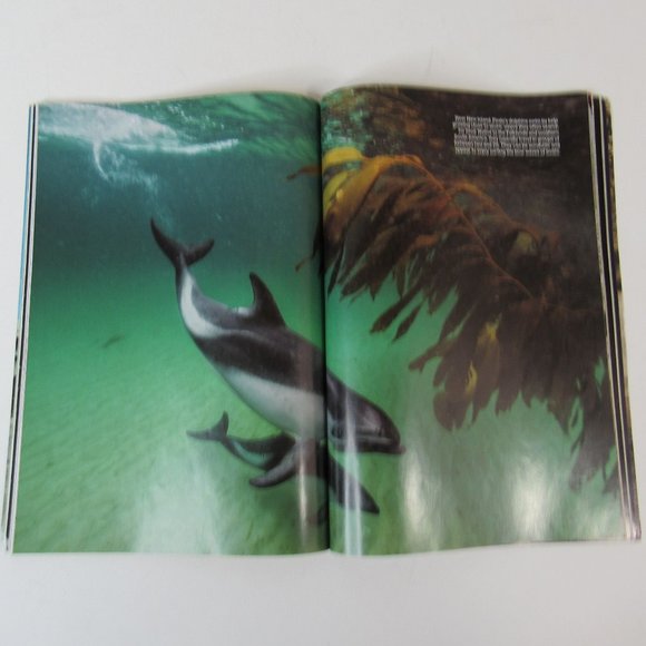2 National Geographic Magazine Issues - Planet or Plastic? 2018/Big Brother 2018 - Picture 4 of 13